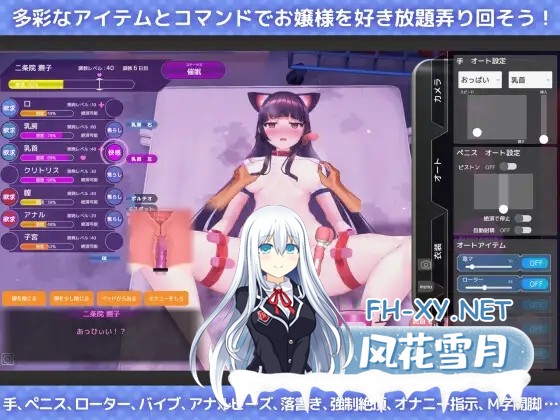 [互动SLG/官中/步兵/催眠/PC]催眠APP2～大小姐的堕落调教模拟～ Ver1.03 官方中文步兵版[3.47G]-13.jpg