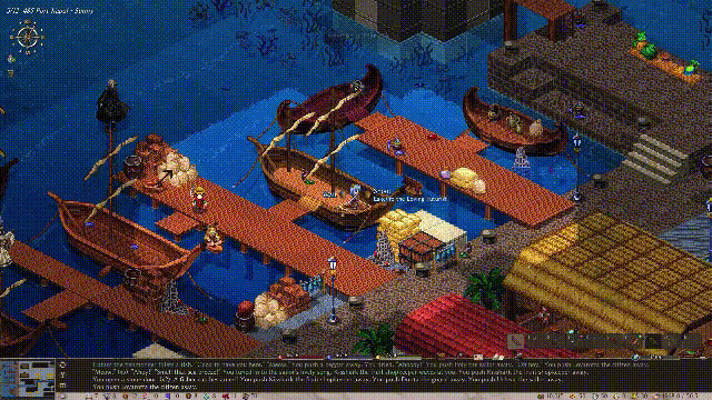 [PC][顶级大作RPG/官中/动态/2D]伊琳 艾琳 Elin v23.252 Steam官方中文最新版+MOD整合 [3249.1MB]-3.gif