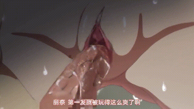 2575 (5).gif
