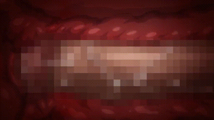 2589 (18).gif