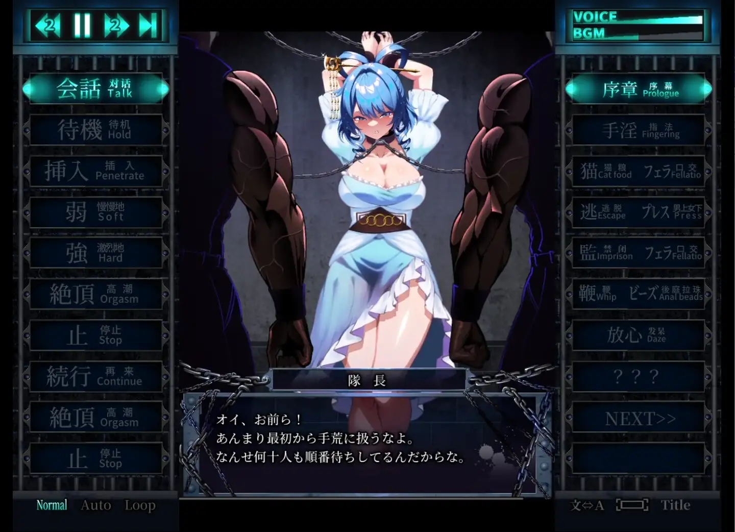 [PC][2D]东方Project：惩罚少女R おしおき娘々R 官方中文版 [2.64GB]-5.jpg