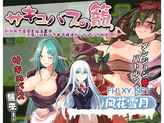 [RPG/官中/魔物娘/反向奸/巨乳][RJ201762/Ason社团]魅魔的囚笼/サキュバスの籠 - 町外れで薬草を採る最中、淫魔に辻取りされて精液ペット♂にされま...-2.jpg