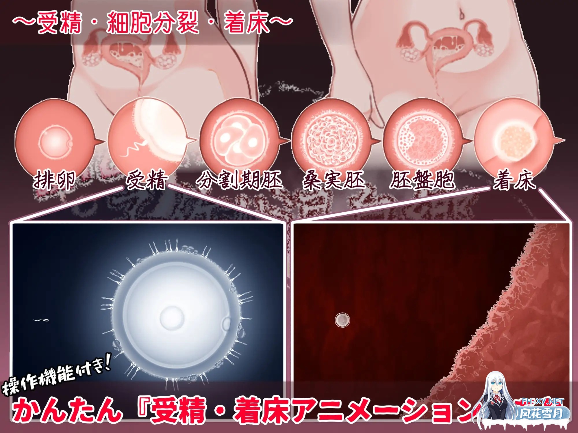 [RPG/汉化]おいでませ！子作り温泉郷 v1.0 AI汉化版[PC/1.1G]-5.jpg