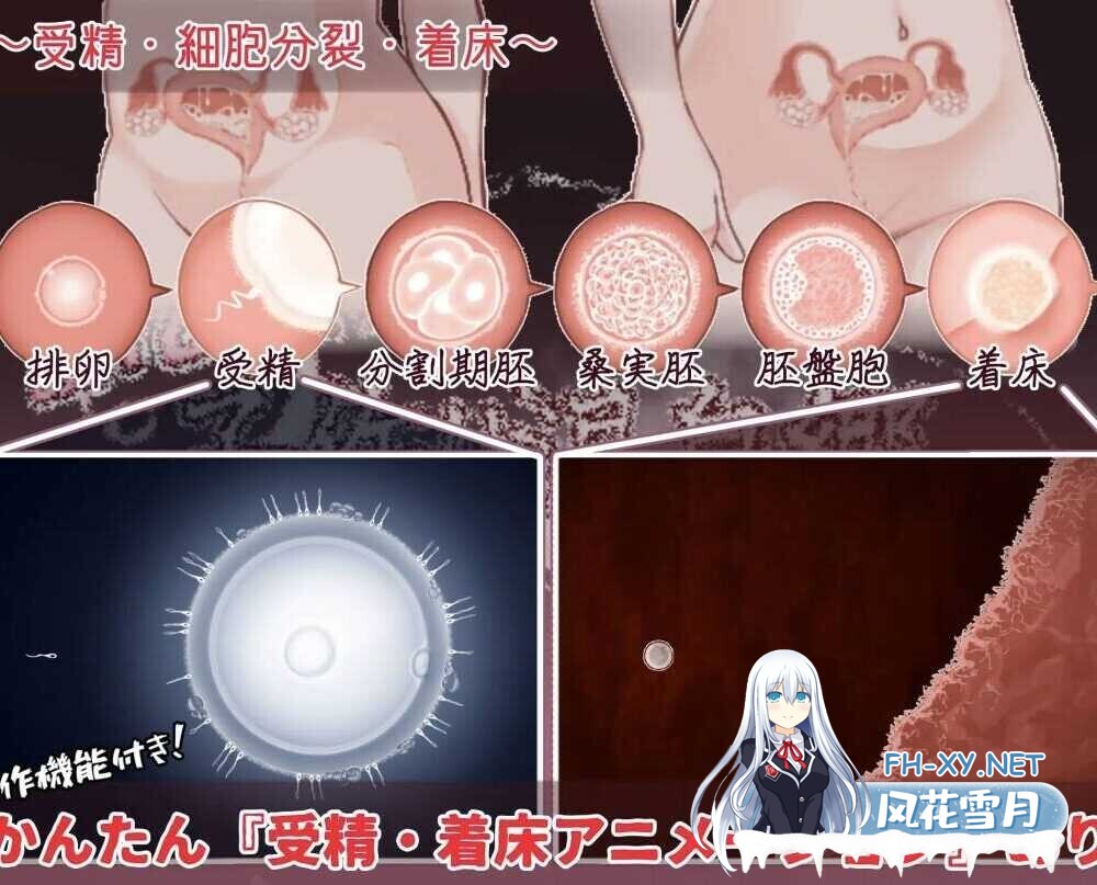 [日式RPG/AI汉化] 欢迎光临!造娃温泉乡/おいでませ!子作り温泉郷 AI汉化版 [1.1G/新作]-5.jpg