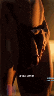 d1656df3c69b1.gif